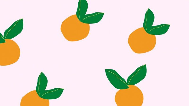可行性研究报告：企业决策的“明灯