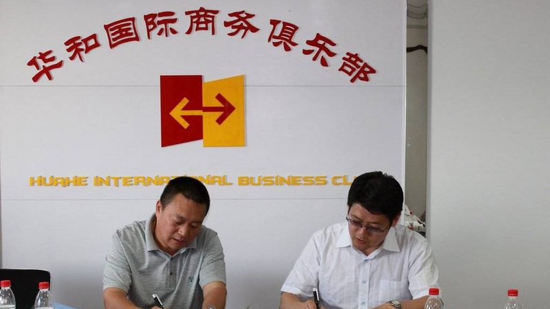 上海战略咨询顾问资质要求解析：标准与考量