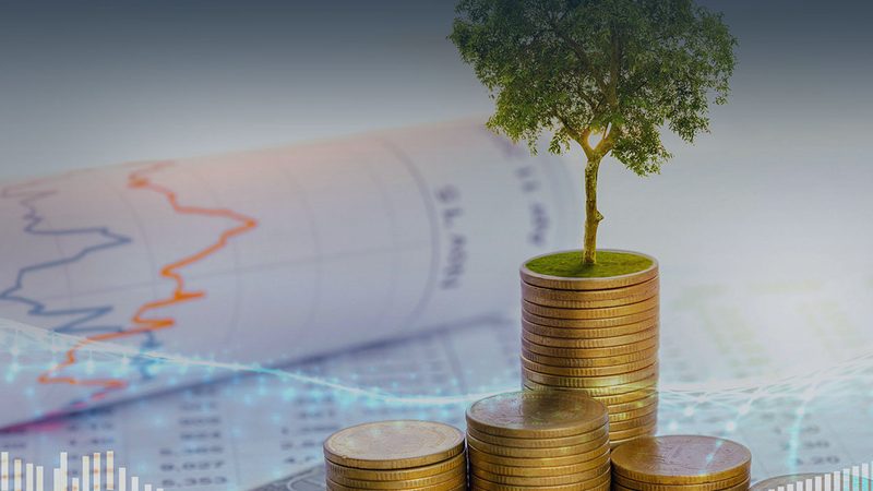 上市辅导团队：关键角色与职责
